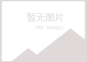 白银平川千兰能源有限公司